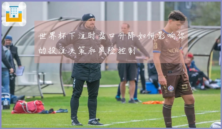 世界杯下注时盘口升降如何影响你的投注决策和风险控制
