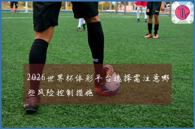 2026世界杯体彩平台选择需注意哪些风险控制措施