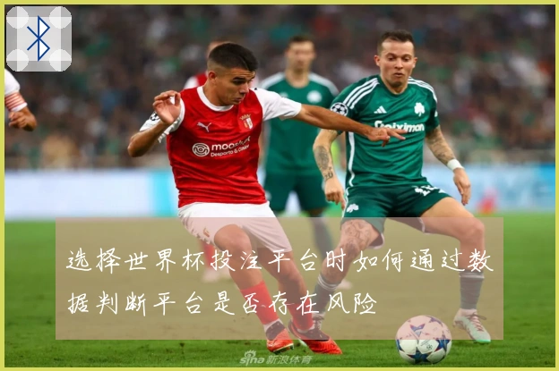 选择世界杯投注平台时如何通过数据判断平台是否存在风险