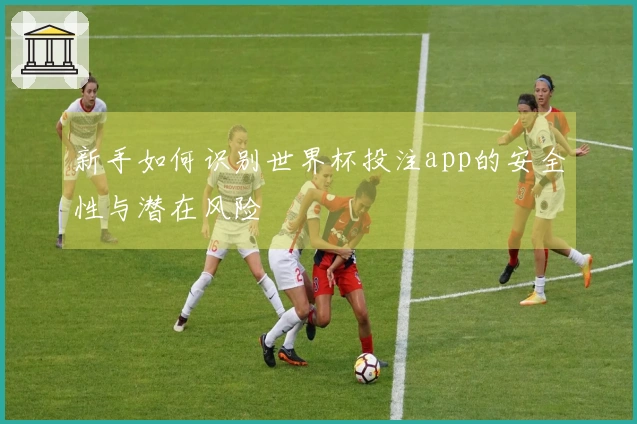 新手如何识别世界杯投注app的安全性与潜在风险 - C7娱乐体育资讯配图