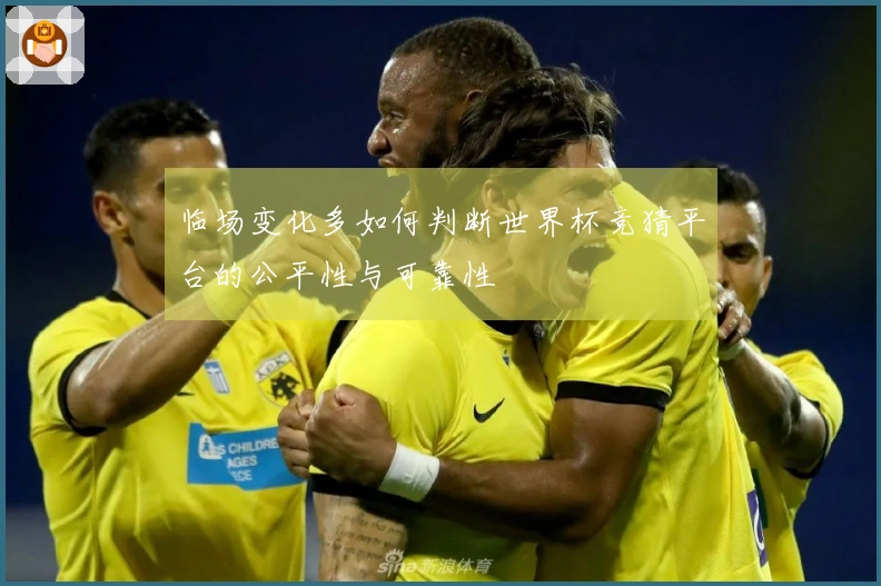 临场变化多如何判断世界杯竞猜平台的公平性与可靠性