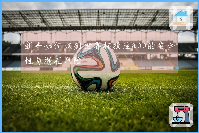 新手如何识别世界杯投注app的安全性与潜在风险