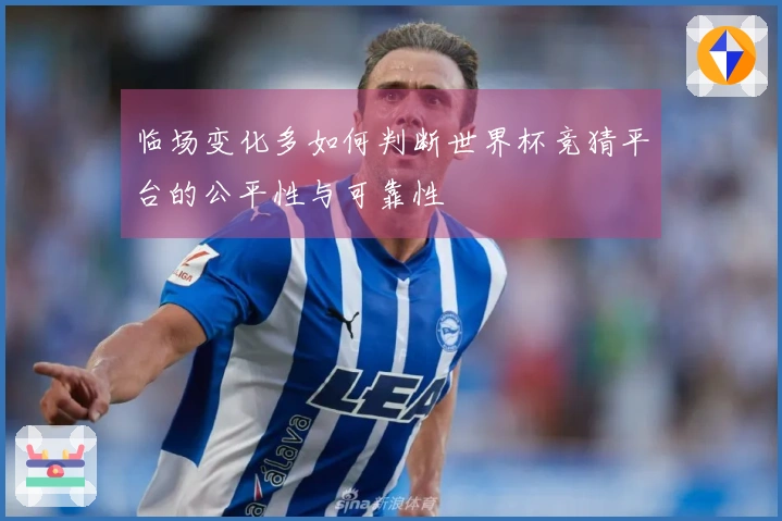 临场变化多如何判断世界杯竞猜平台的公平性与可靠性